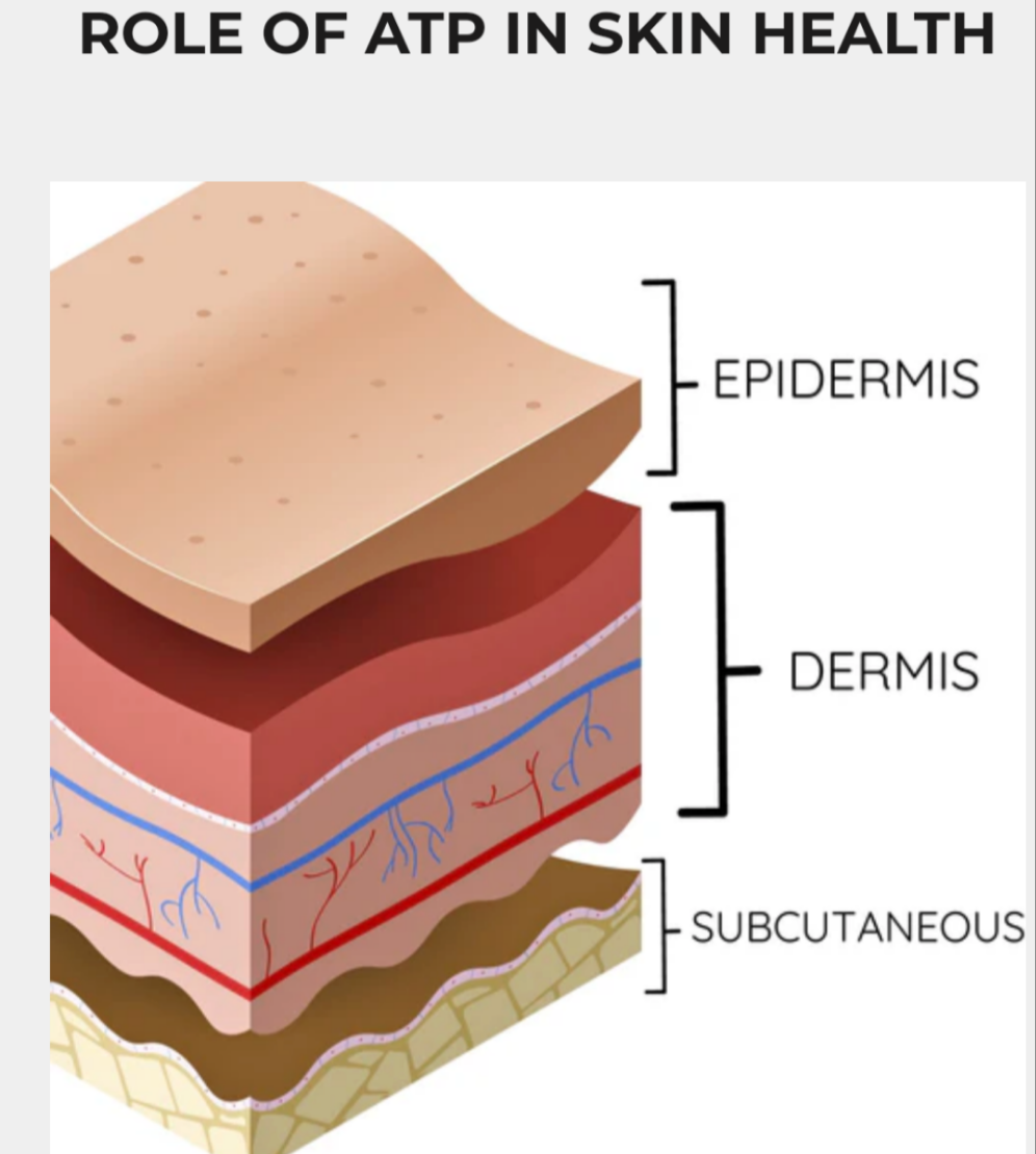 Myolift QT plus pre-sell